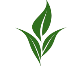 Leaf Watermark